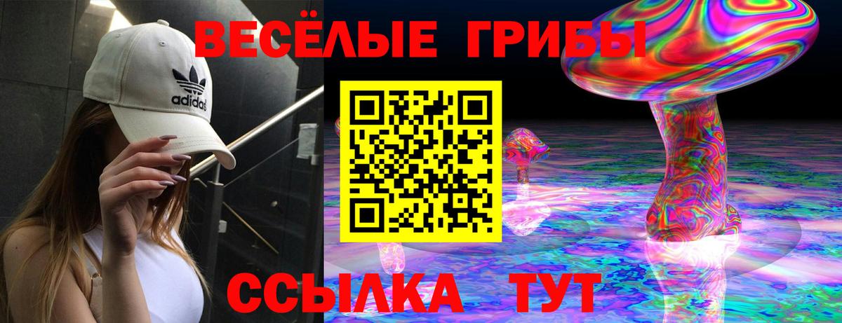 Псилоцибиновые грибы Psilocybine cubensis  где найти наркотики  Таганрог  Вход с VPN 
