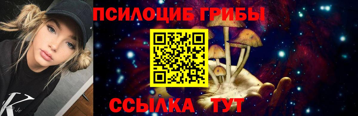 Псилоцибиновые грибы мицелий Таганрог